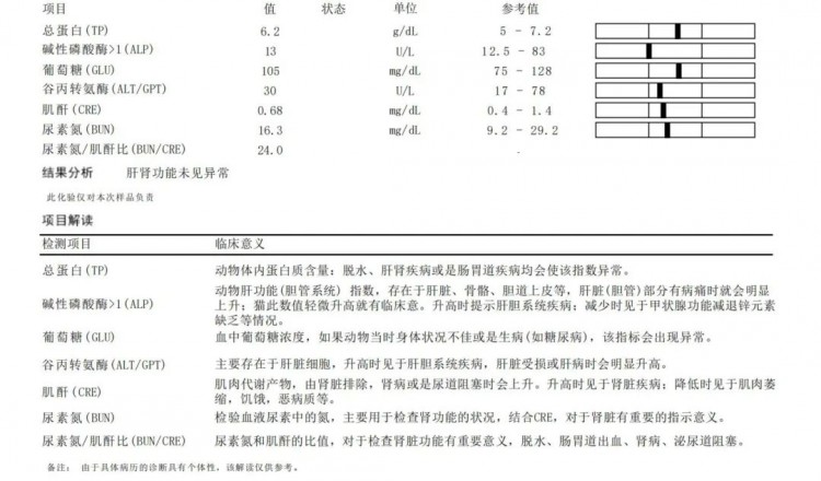 来福从盐城转诊到泰州友益佳宠物医院的看诊经历